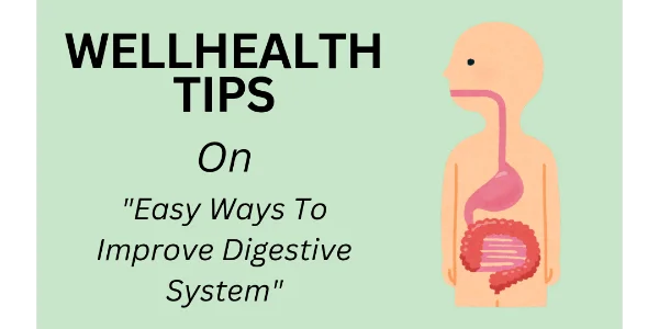 This image shows the text. the one tax says the name of the website well health tips and the second text says easy ways to improve digestive system. There is in vector image of a man with digestive system inside him.